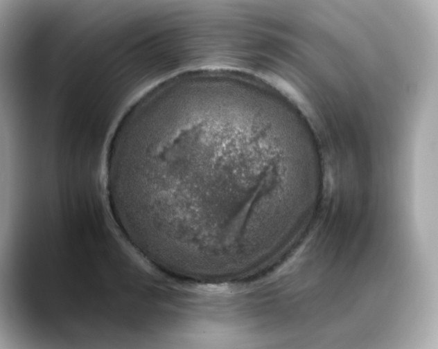 X0000088420990200706051208
