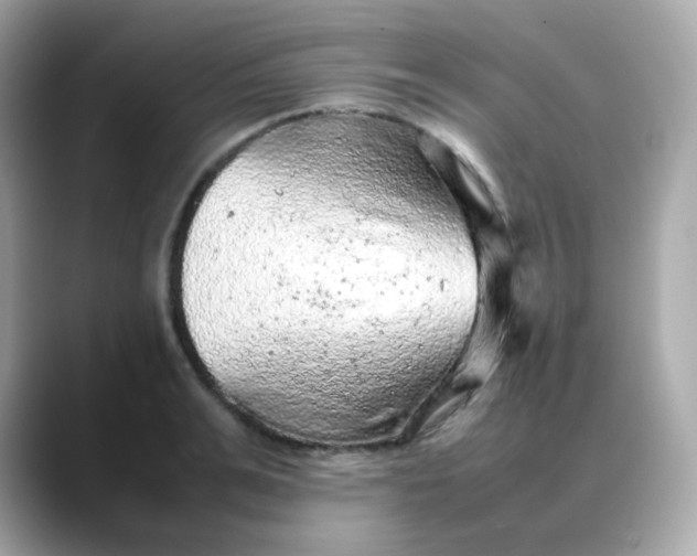 X0000088420991200706051208