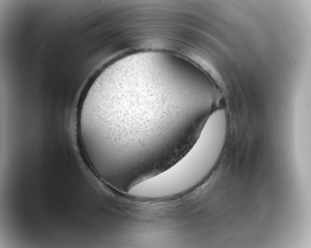 X0000088420992200706051208