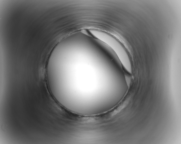 X0000088420993200706051208