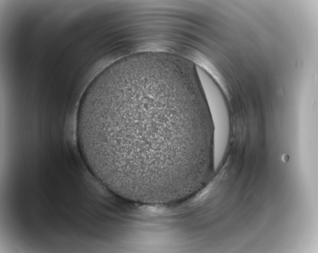 X0000088420994200706051208