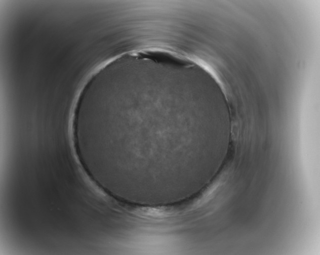 X0000088420995200706051208