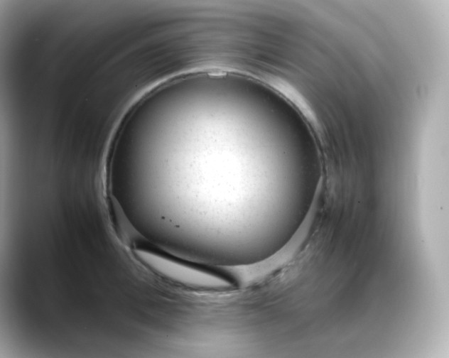 X0000088420996200706051208