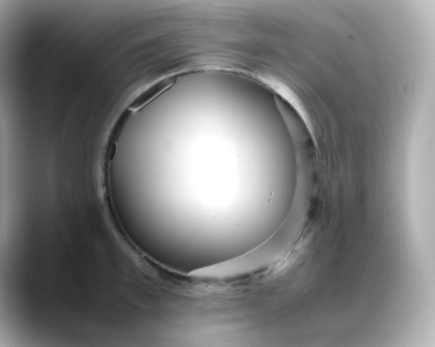 X0000088420997200706051208