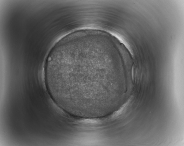 X0000088420998200706051208