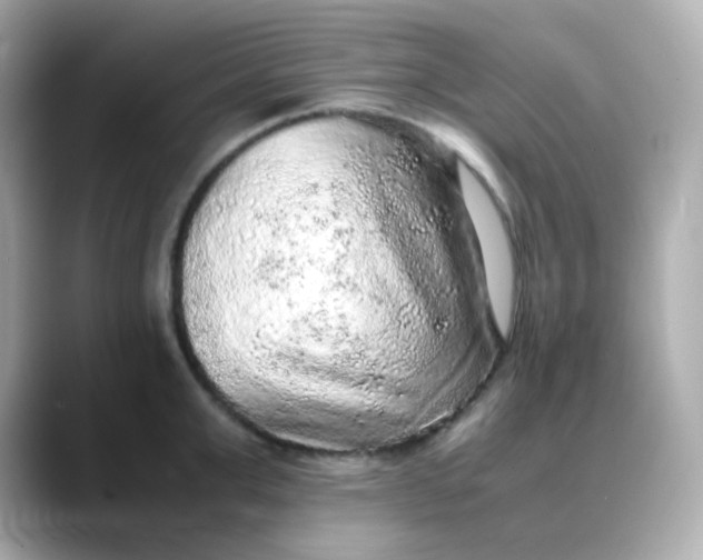 X0000088420999200706051208