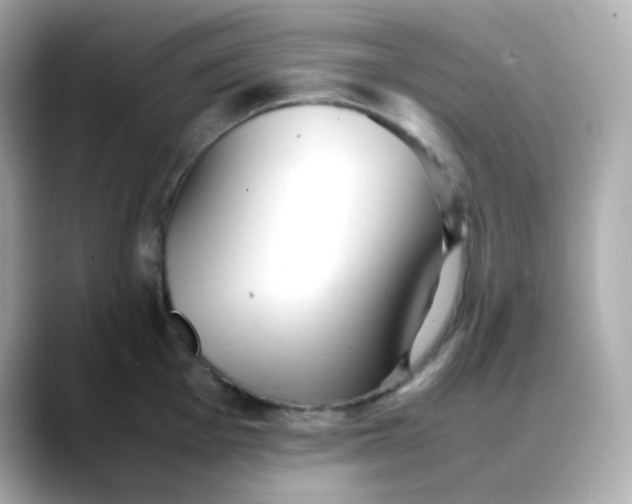 X0000088421001200706051208