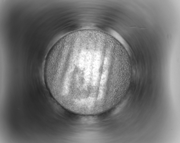 X0000088421002200706051208