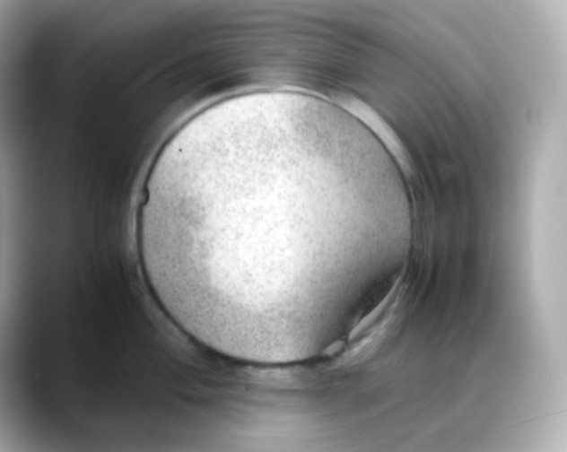 X0000088421004200706051208