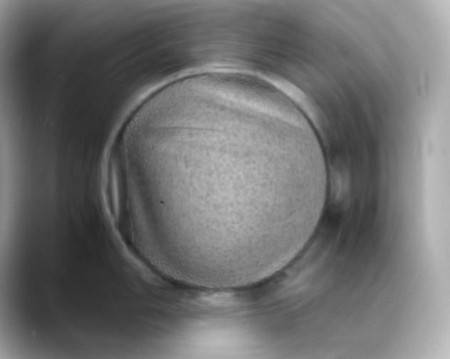 X0000088421006200706051208