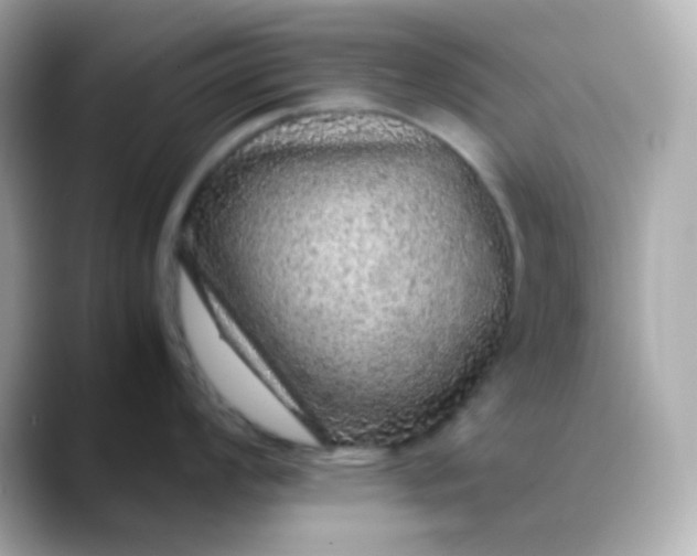 X0000088421008200706051208