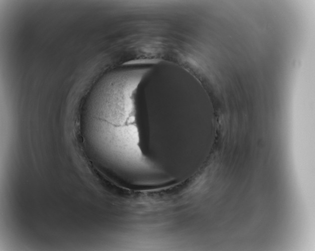 X0000088421009200706051207