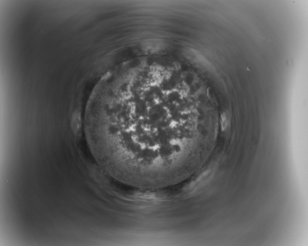X0000088421011200706051207