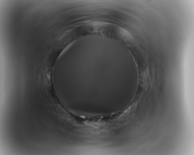 X0000088421013200706051208