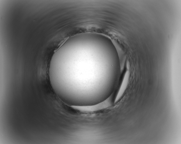 X0000088421014200706051208