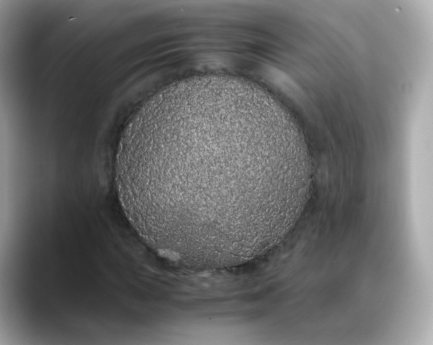 X0000088421015200706051208