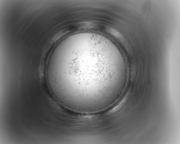 X0000088421017200706051208