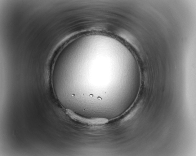 X0000088421021200706051208