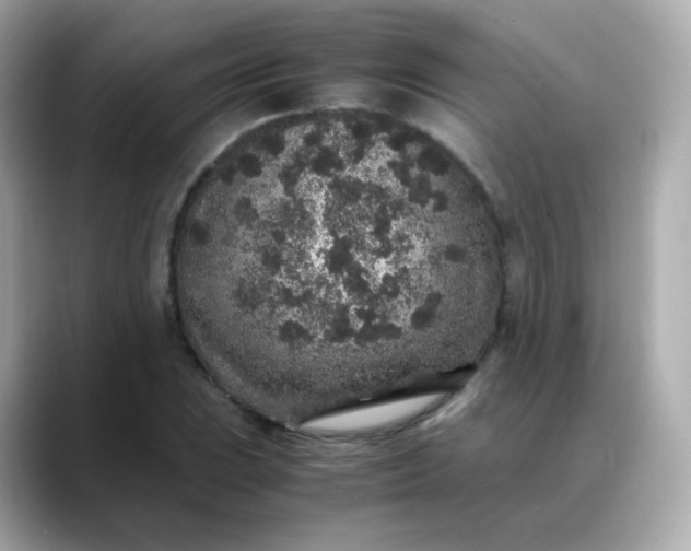 X0000088421023200706051208