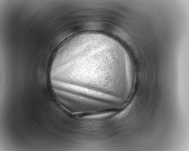 X0000088421025200706051208