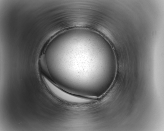 X0000088421026200706051208