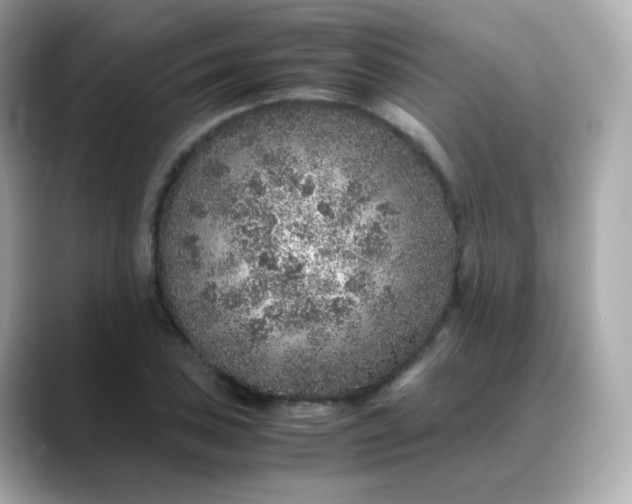 X0000088421027200706051208