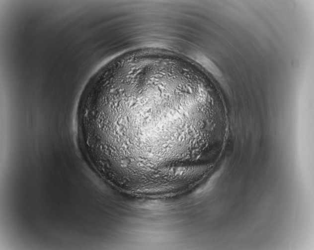 X0000088421028200706051208