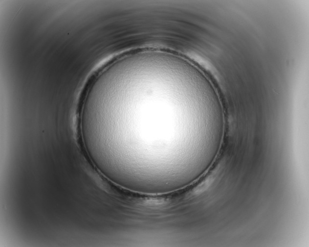X0000088421029200706051208