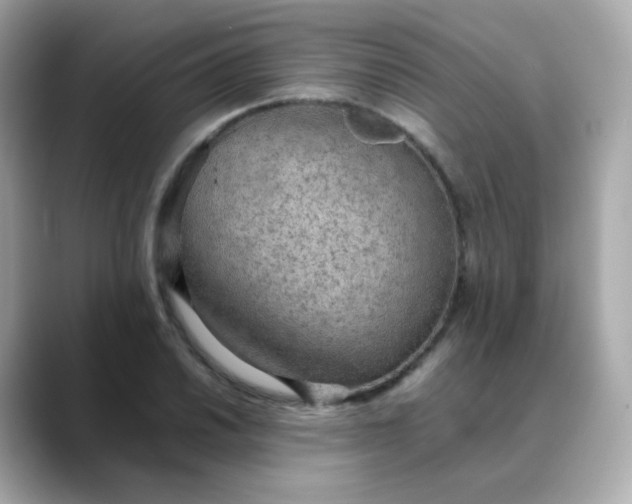 X0000088421030200706051208
