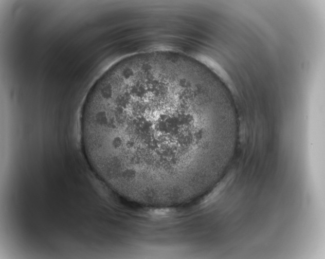 X0000088421031200706051208