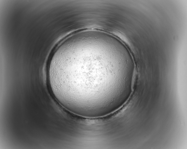 X0000088421032200706051208