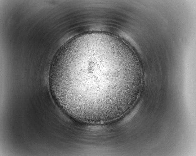 X0000088421033200706051208