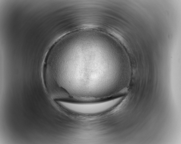 X0000088421034200706051208