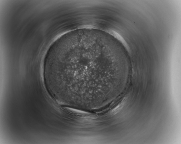 X0000088421035200706051208