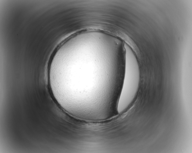 X0000088421036200706051208