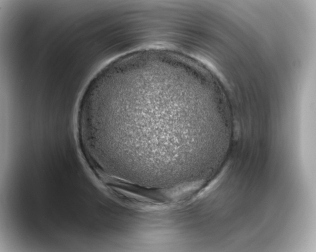 X0000088421038200706051208