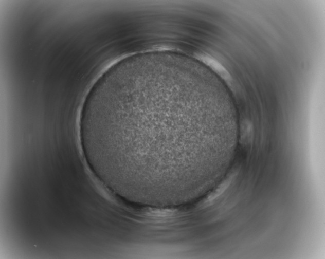 X0000088421039200706051208