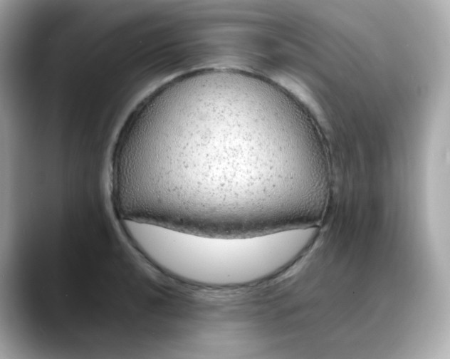 X0000088421040200706051208