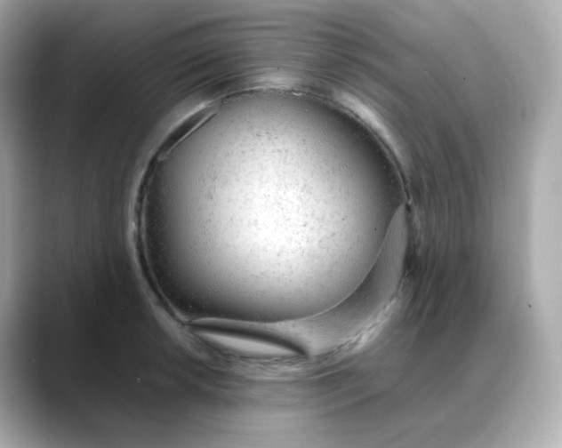 X0000088421042200706051208