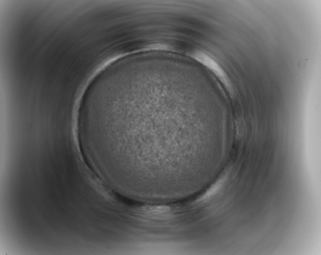 X0000088421043200706051208