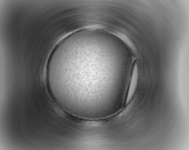 X0000088421044200706051208