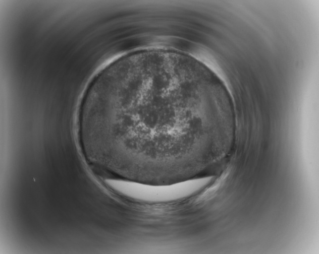 X0000088421045200706051208