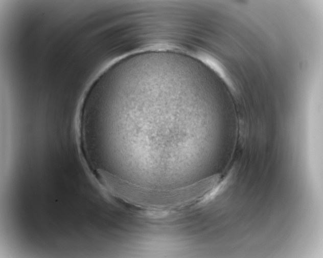 X0000088421046200706051208