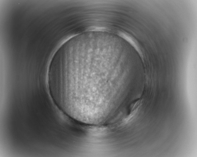 X0000088421050200706051208