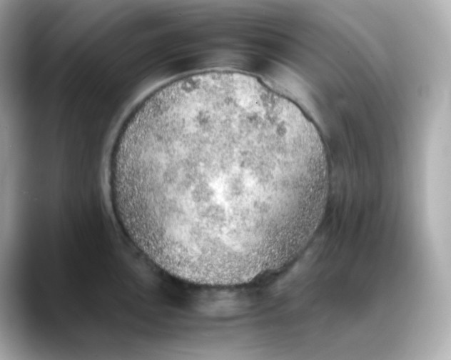 X0000088421051200706051208