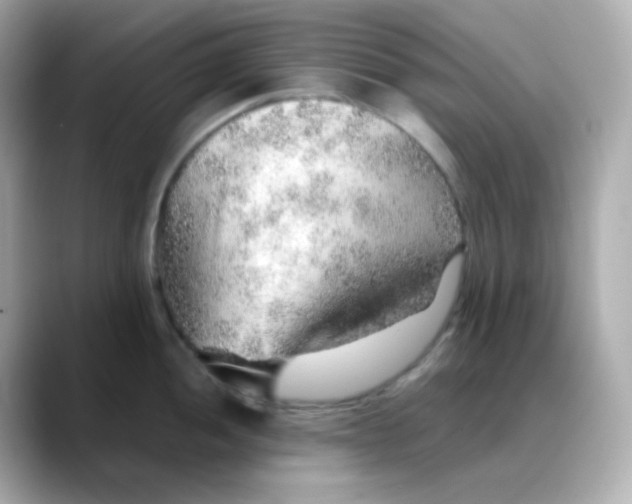 X0000088421052200706051208
