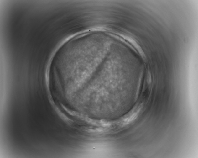 X0000088421054200706051208