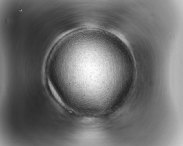 X0000088421056200706051208