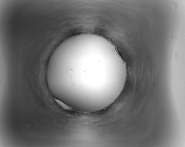 X0000088421057200706051207