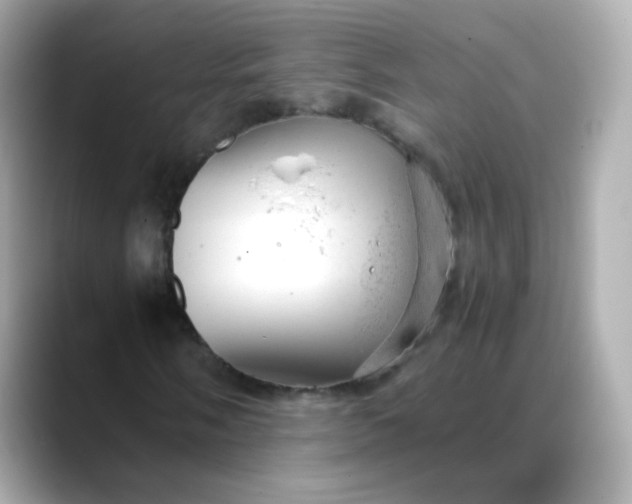 X0000088421058200706051207